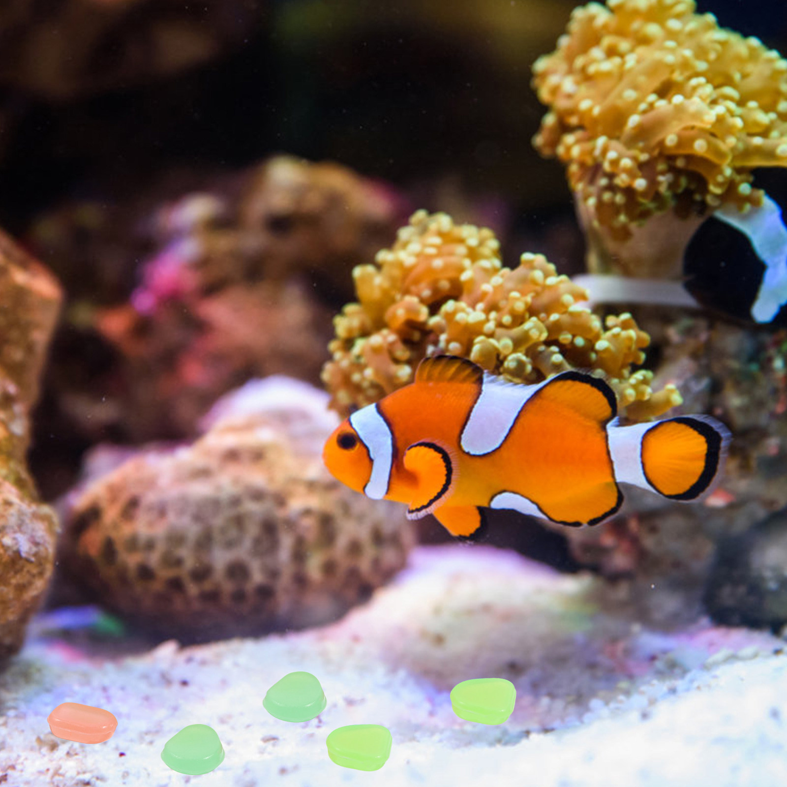 400Pcs Glow in The Dark Pebble - Fish Tank Gravel recension och pris