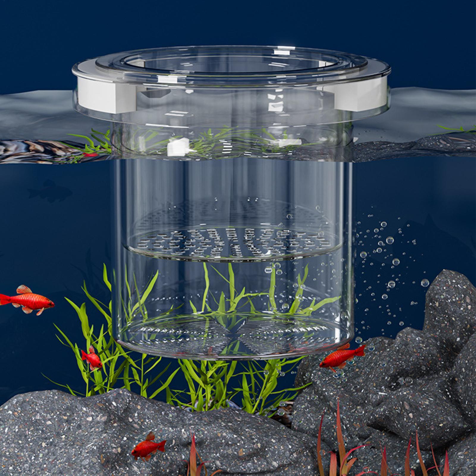 Floating Fish Breeding Isolati - Aquarium Fish Betta recension och pris