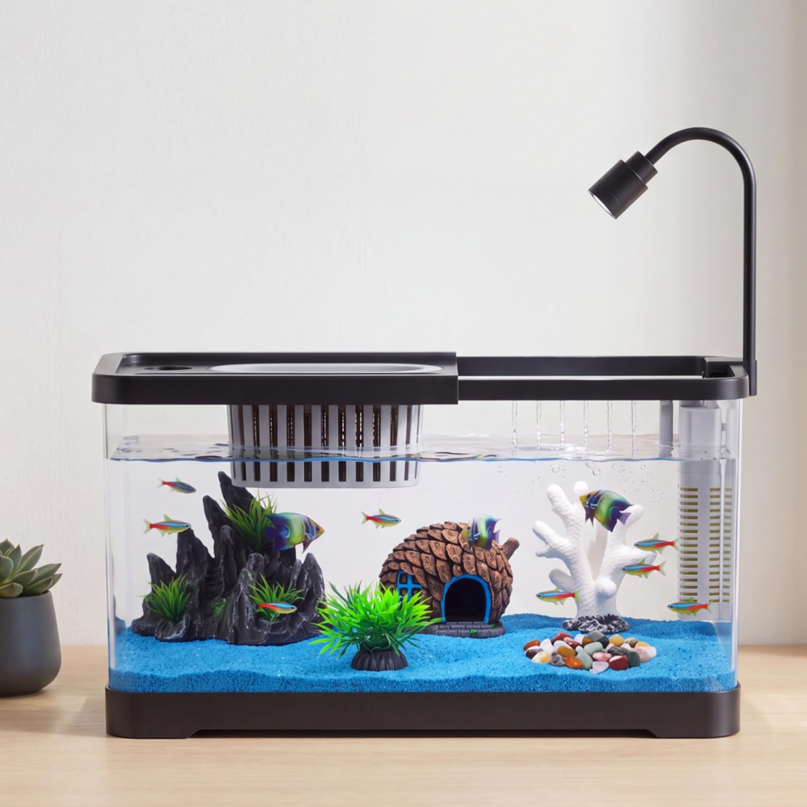 Fish Tank Starter Kit With Fil - Aquarium Fish Betta recension och pris