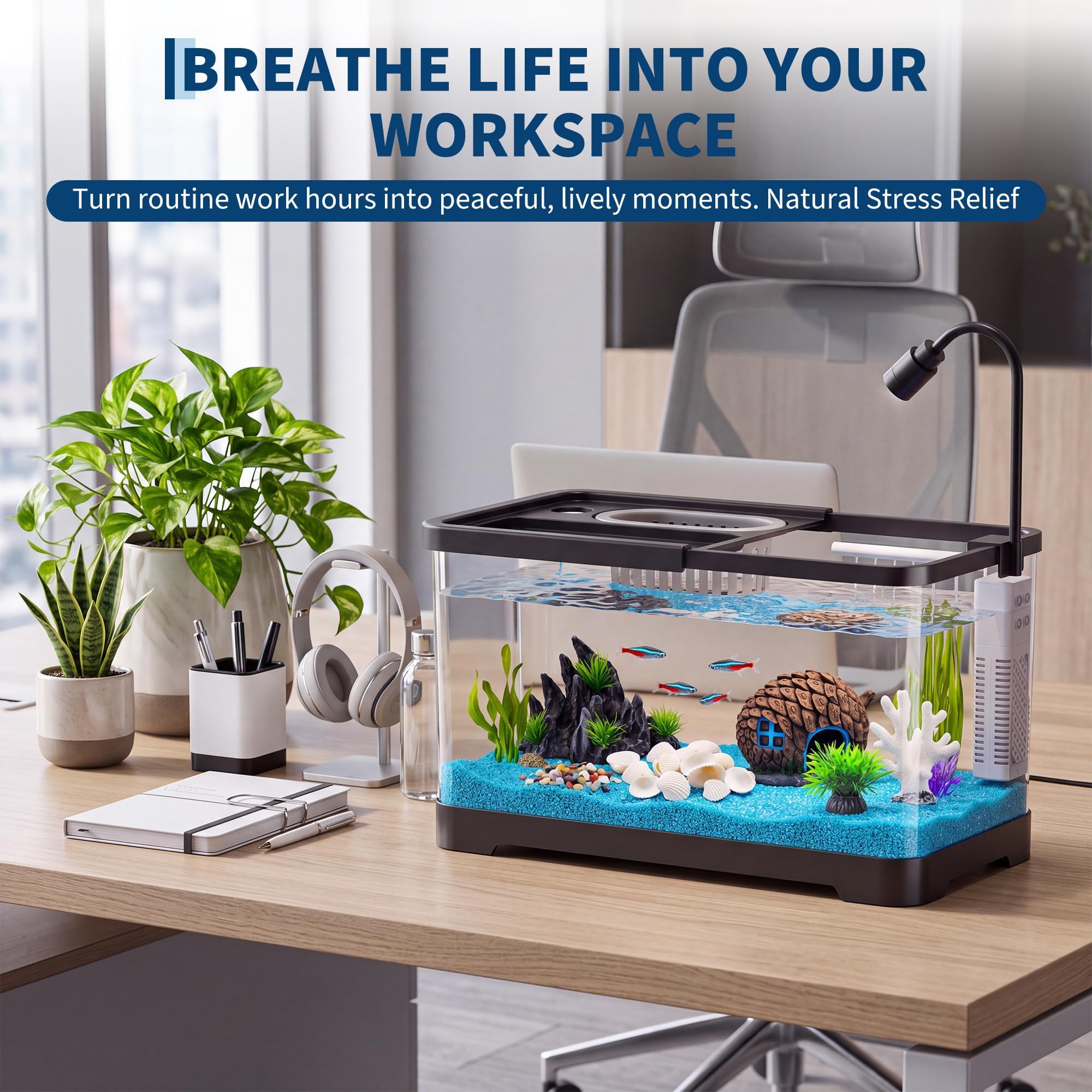 Fish Tank Starter Kit With Fil - Aquarium Fish Betta recension och pris