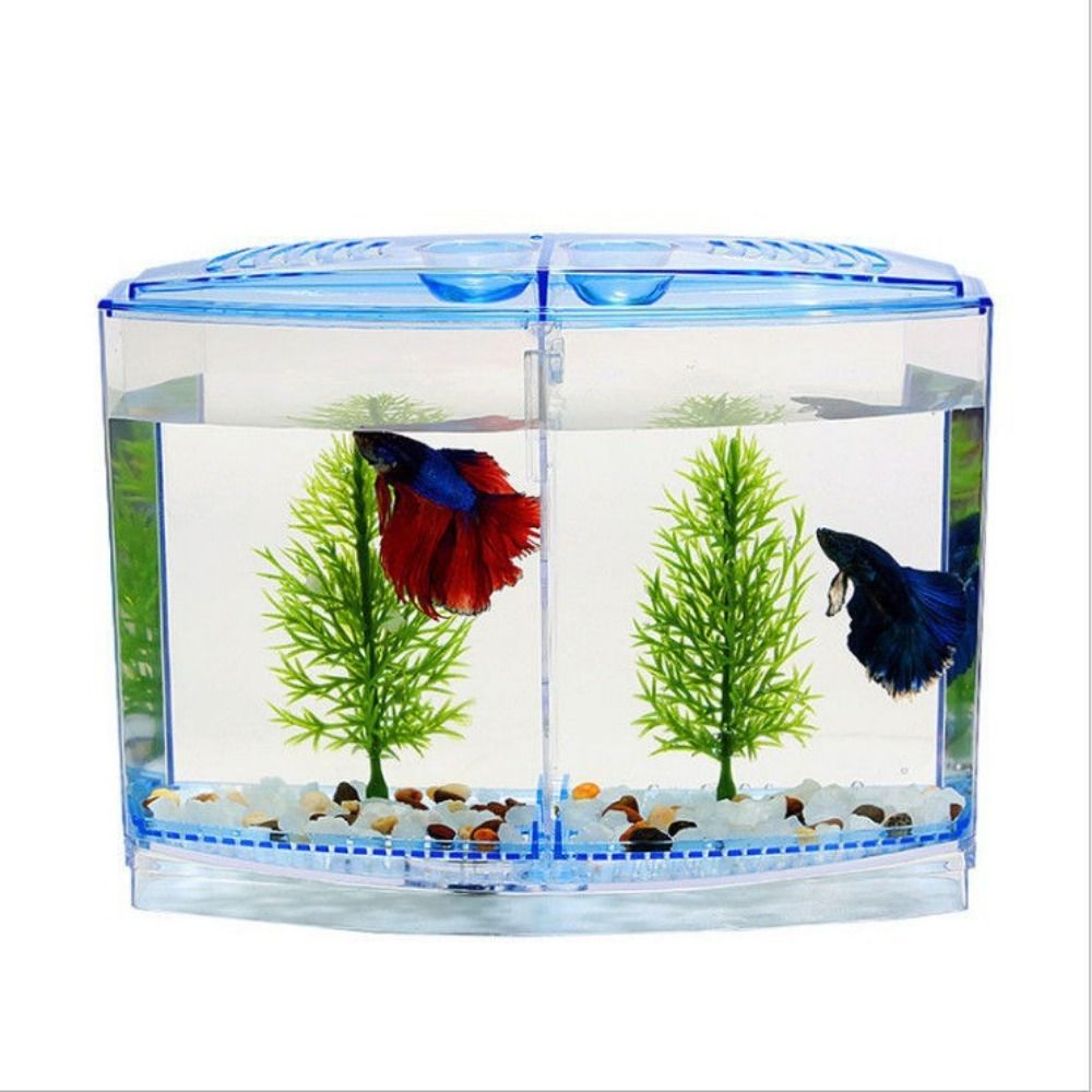 Transparent Betta Fish Tank, D - Aquarium Fish Betta recension och pris