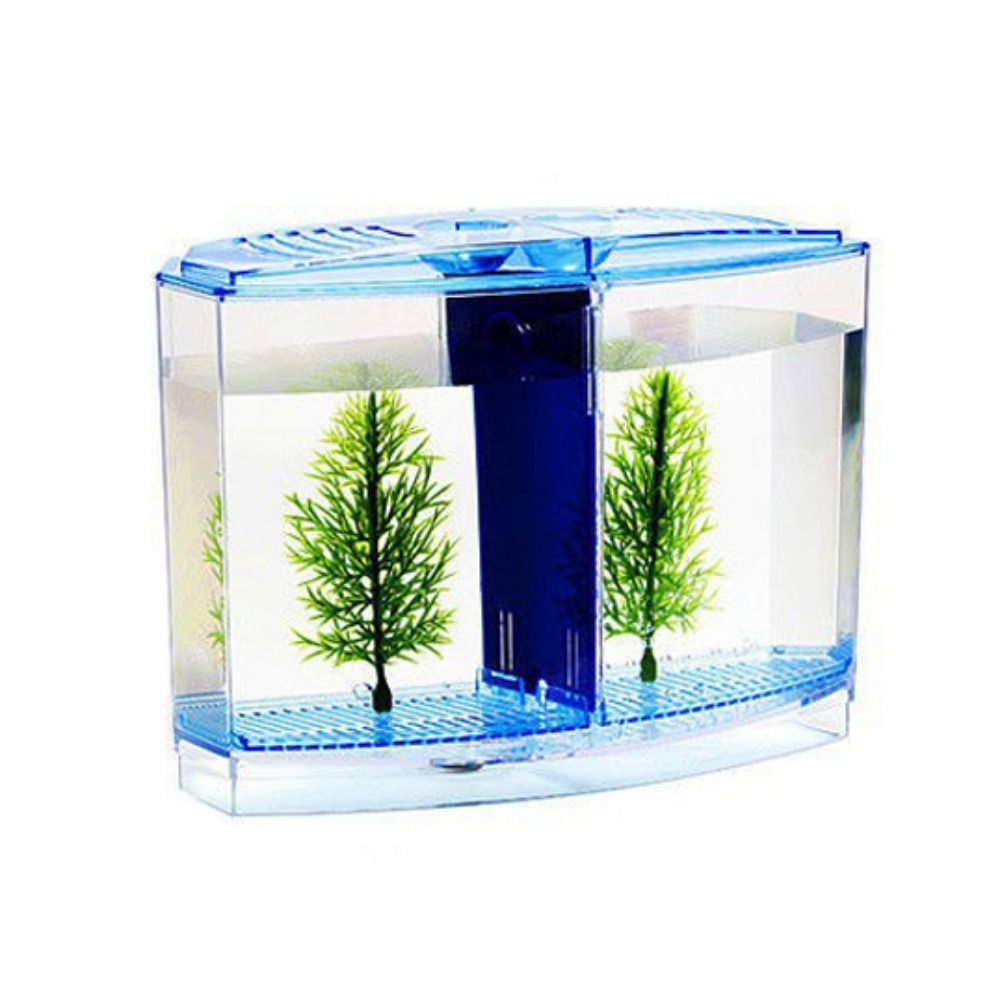 Transparent Betta Fish Tank, D - Aquarium Fish Betta recension och pris