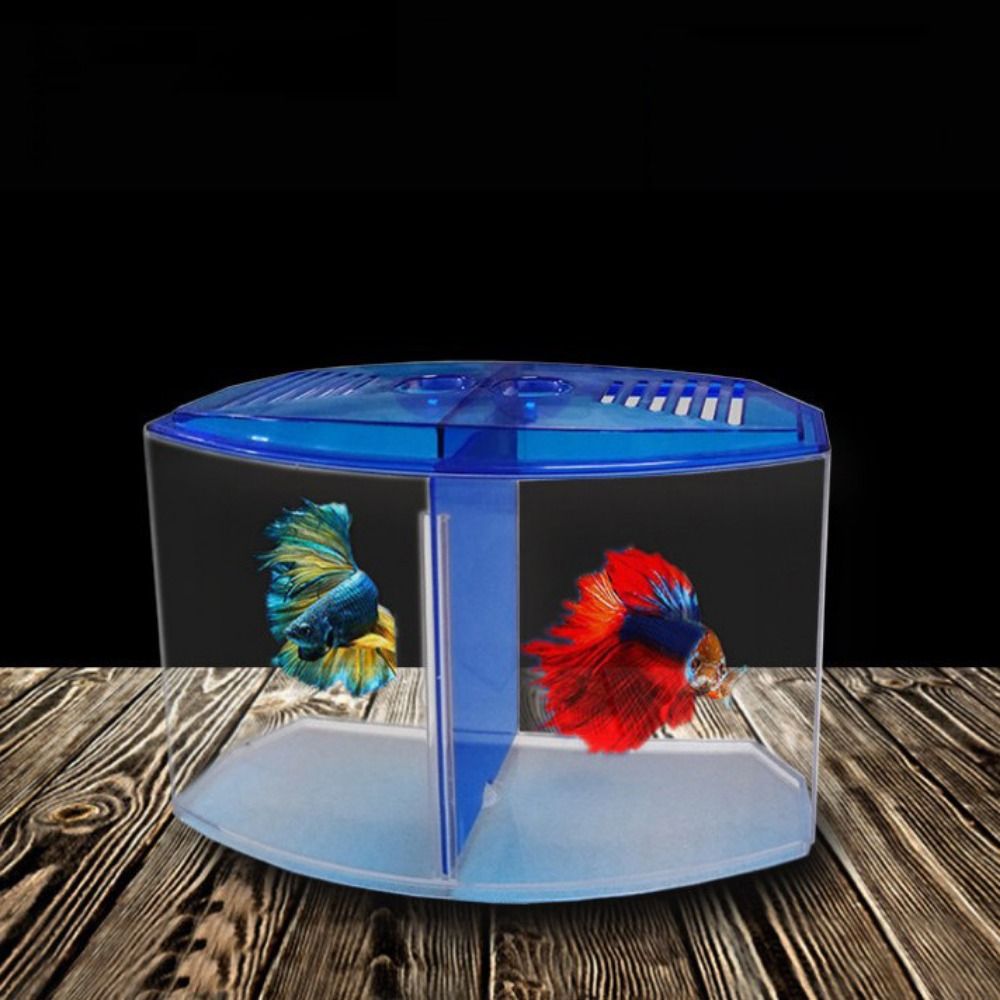 Transparent Betta Fish Tank, D - Aquarium Fish Betta recension och pris